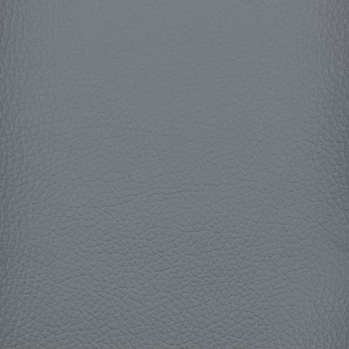 Grain Silico