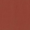 Amport Terracotta 2010