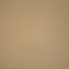 PRIZM COFFEE CREAM