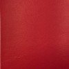 Armada Starboard Red 246 M