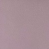 Salisbury Tea Rose 1449
