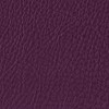 Amport Damson 2026