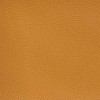 Ocre