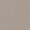 Amport Beige 2002