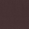 Amport Chocolate 2019