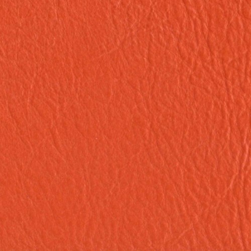 Amport Mandarin 2022
