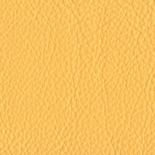Amport Zest 2023