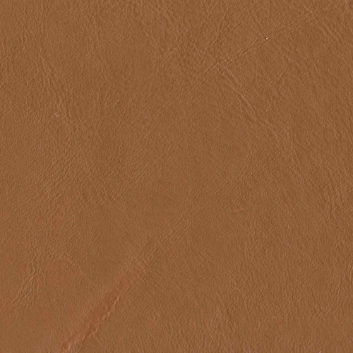 Amport Tan 2017