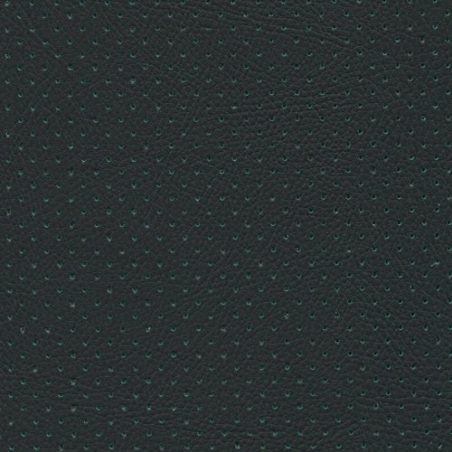 Perforated Green