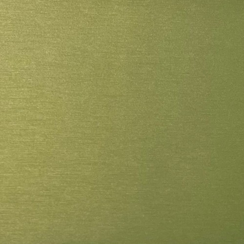 Star Kiwi