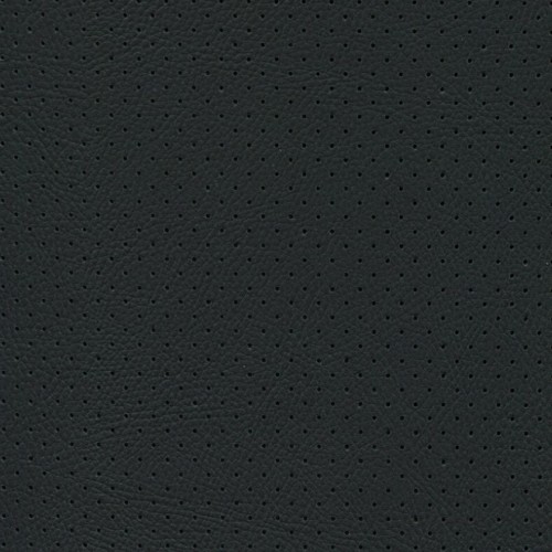 Perforated Black