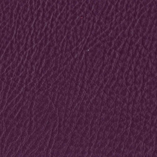 Amport Damson 2026