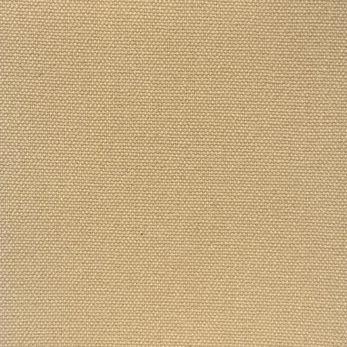 HODK064 FAWN