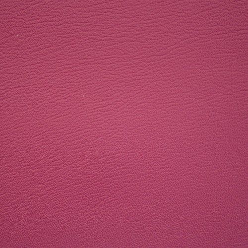 PRIZM RASPBERRY