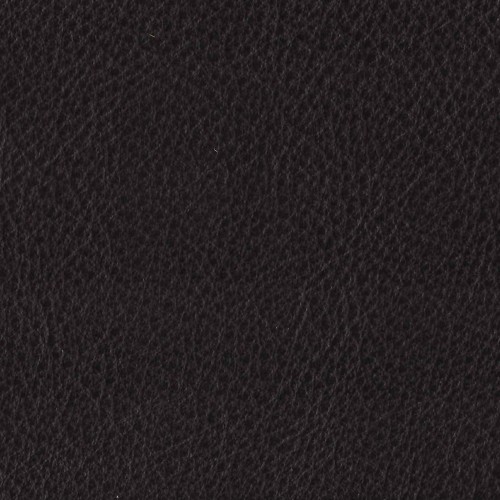 Amport Dark Brown 2021