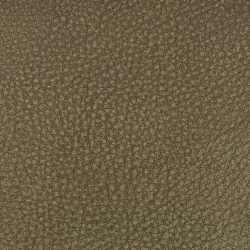Moss