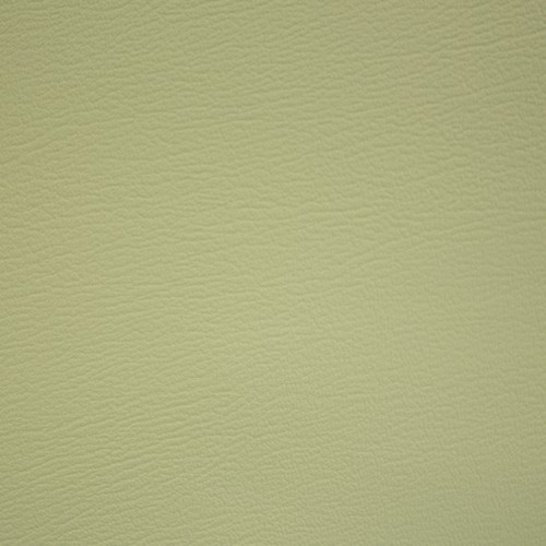 PRIZM LIME FIZZ
