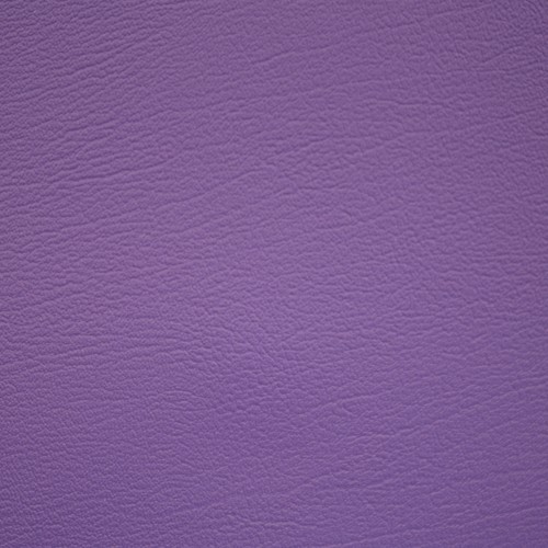 PRIZM PURPLE IRIS