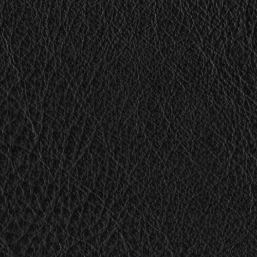 Amport Black 2016