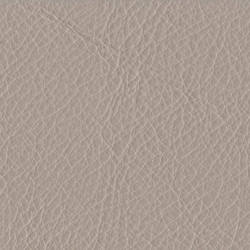 Amport Beige 2002