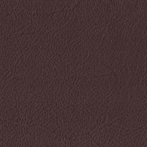 Amport Chocolate 2019